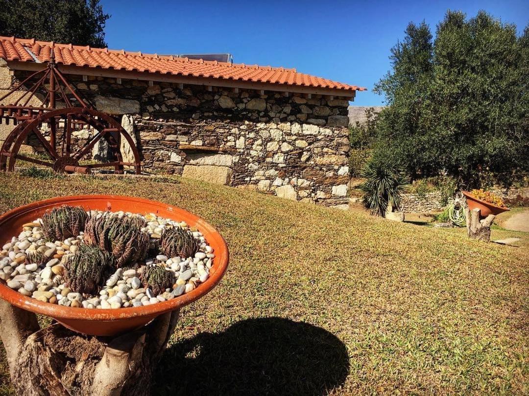 Quinta Do Fortunato Viana do Castelo Exterior foto